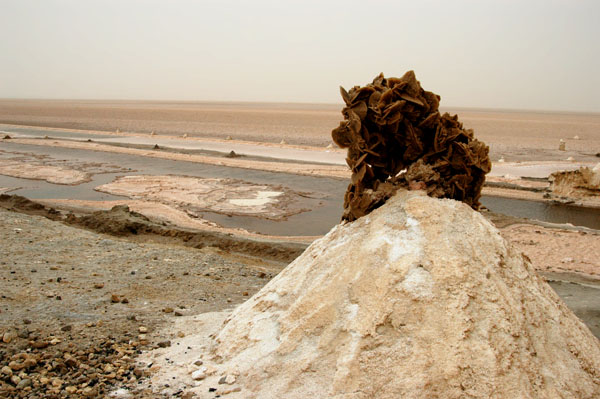 Salt column and a piece of desert rose