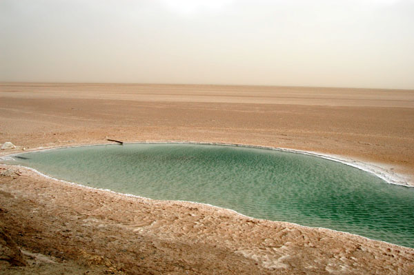Parts of the Chott el Jerid near the P16 road have pools of very salty water