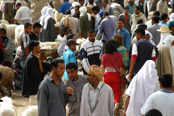 Livestock Market, Douz