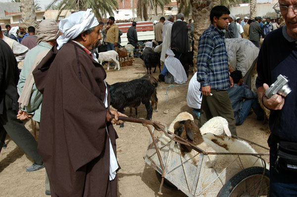 Man with a grocery cart, Livestock Market, Douz