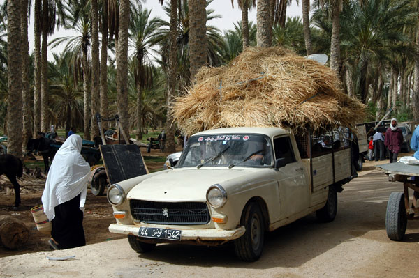 Hay wagon, Livestock Market, Douz