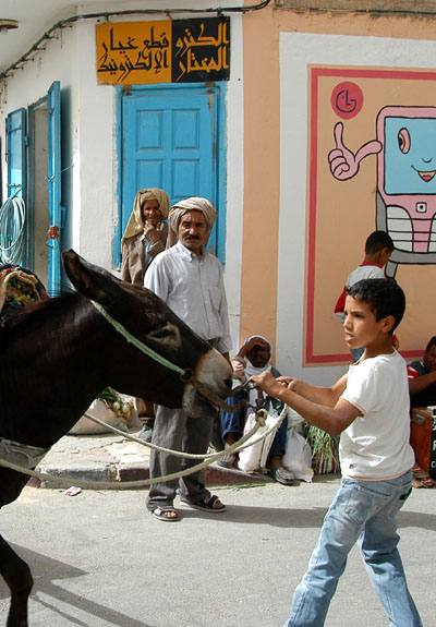 Young boy with an uncooperative Donkey