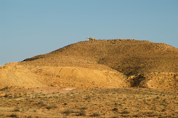 Ghar El Jani with a dinosaur on top