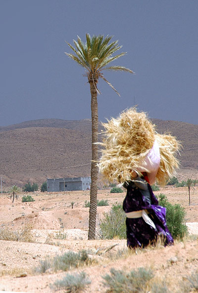 Tunisian woman carrying a bundle of hay
