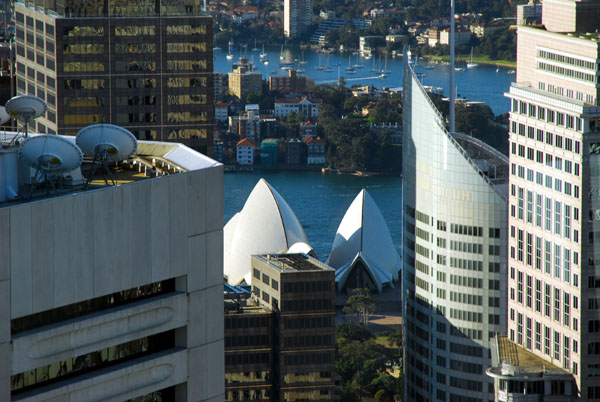 Sydney Opera House from Sydney Tower