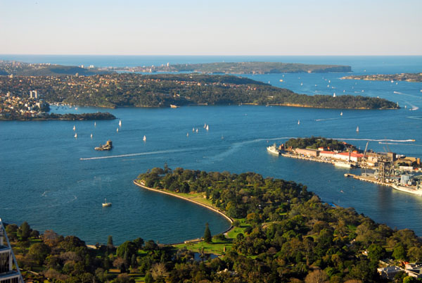 Mrs Macquaries Point & the harbor from Sydney Tower