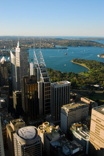 View northeast from Sydney Tower