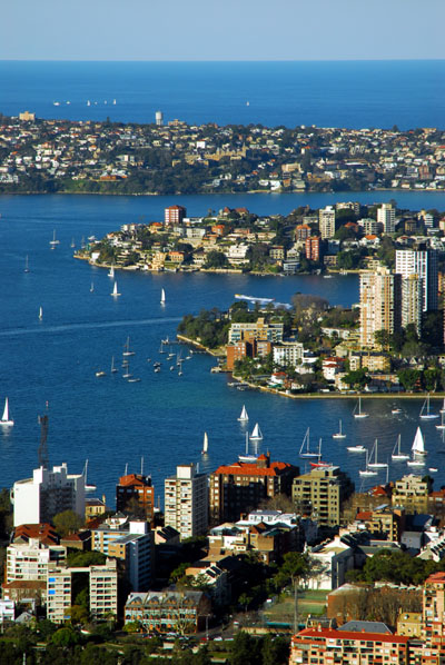 South shore of Sydney Harbour