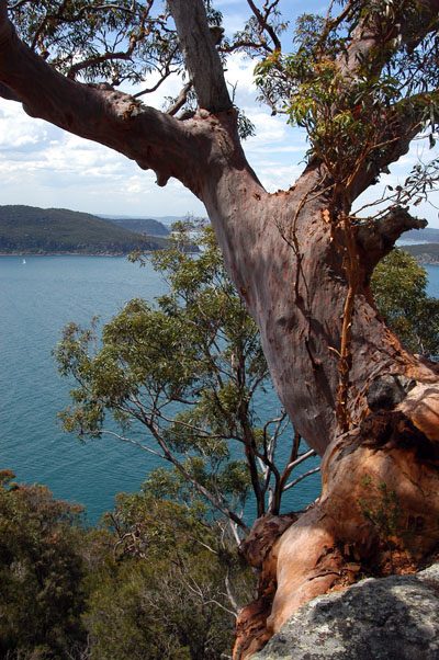 West Head Lookout, Ku-ring-gai Chase National Park