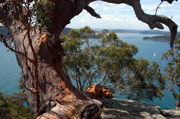 West Head Lookout, Ku-ring-gai Chase National Park