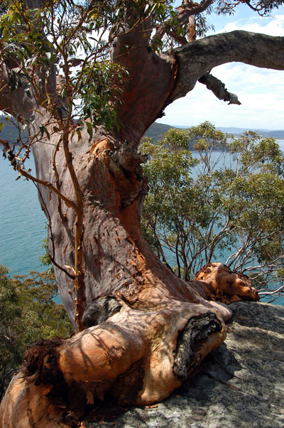 West Head Lookout, Ku-ring-gai Chase National Park