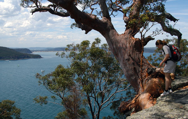 West Head Lookout, Ku-ring-gai Chase National Park