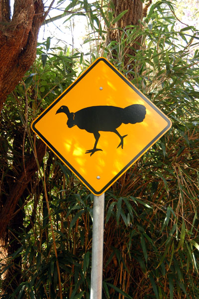 Australian Brush Turkey warning sign