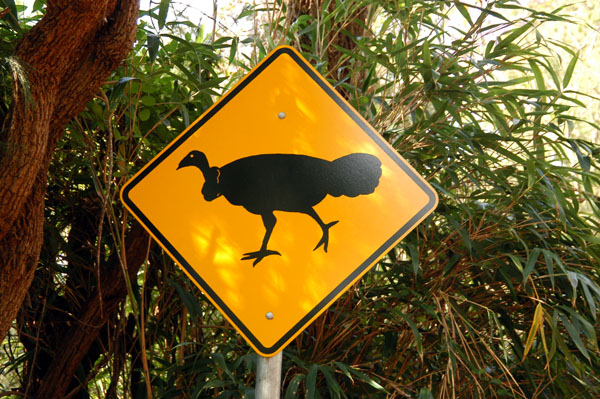 Australian Brush Turkey sign