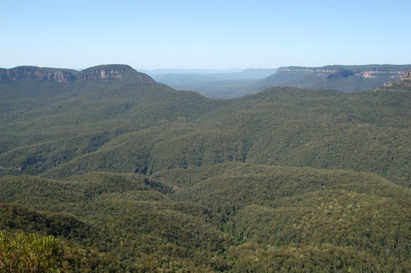 Blue Mountains National Park, Jamison Valley
