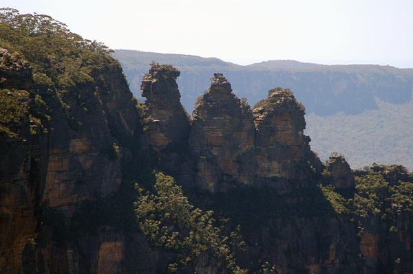The Tree Sisters from Scenic World, Katoomba
