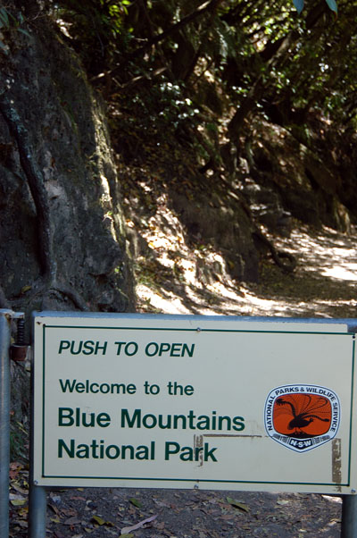 At the base, hike in Blue Mountains National Park