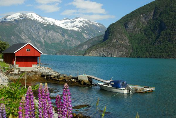 Red boat house with flowers, Norddalsfjorden, Valldal