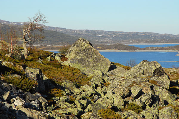 Highlands above Ustevatn