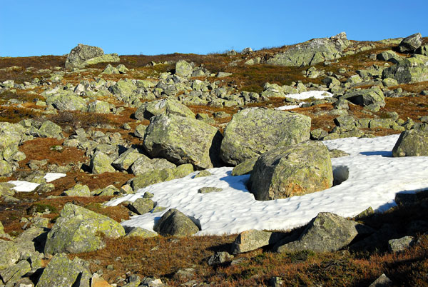 Lingering snow, Hardangervidda