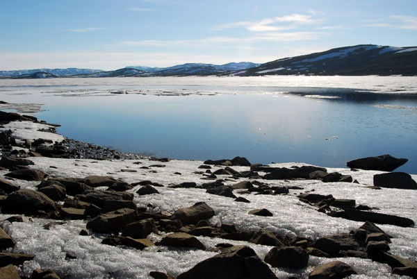 June, Hardangervidda