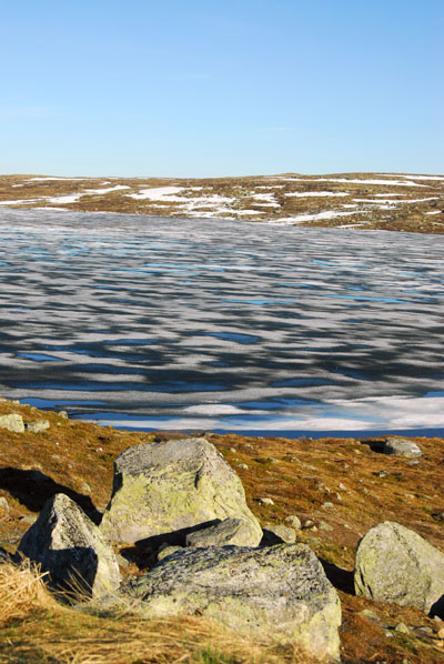 Hardangervidda