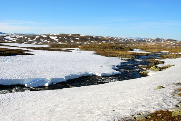 Hardangervidda