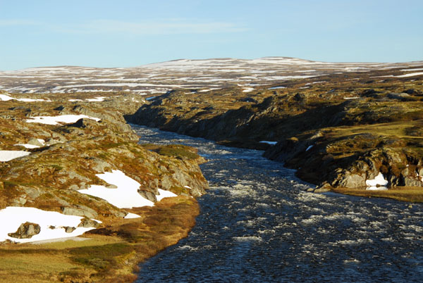 Hardangervidda