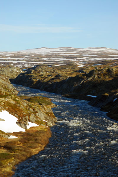 Hardangervidda