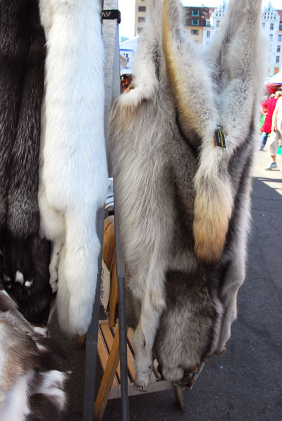 Wolf pelts for sale, Torget, Bergen