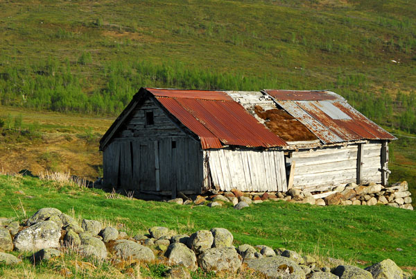 Barn, Aurlandsvegen