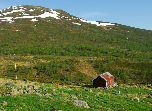 Highlands, Aurlandsvegen