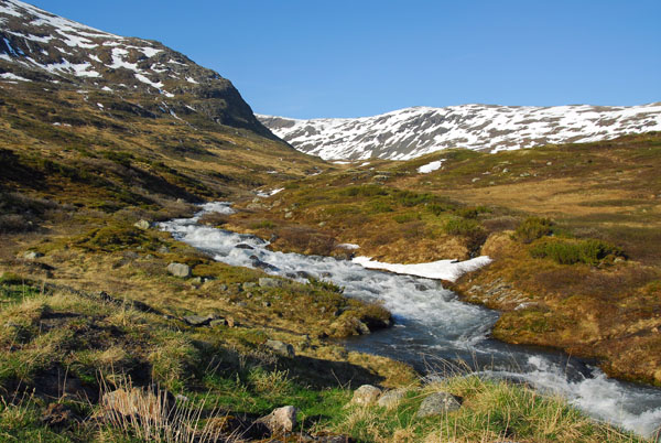 Snowmelt fed stream, Aurlandsvegen highlands