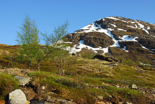 Descending back to the tree line