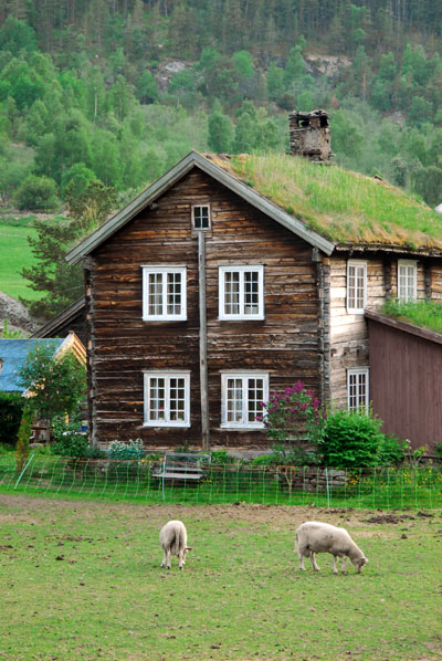 Turf roofed farmhouse, near Borgund