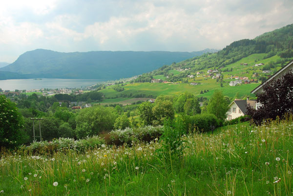 Green hillside overlooking Hafslovatnet