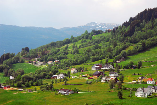 Hillside above Hafslovatnet