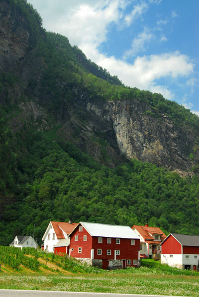 Red farm buildings