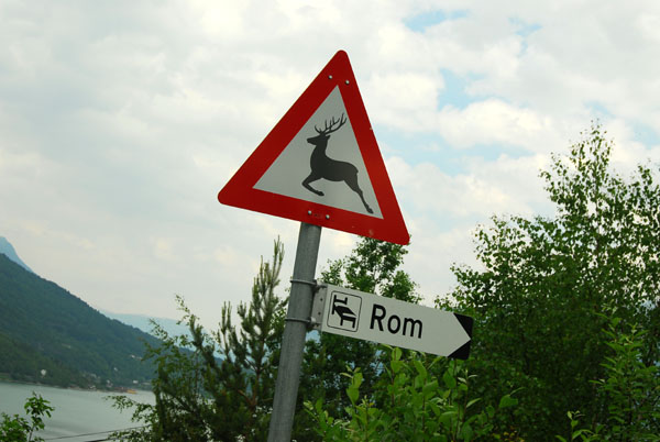 Rom for rent, Lustrafjorden