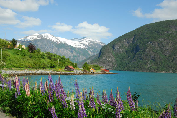 Norddalsfjorden at Valldal
