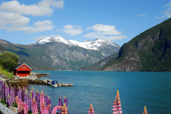 Red boat house with flowers, Norddalsfjorden, Valldal