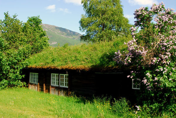 Turf covered house outside Valldal, route 63