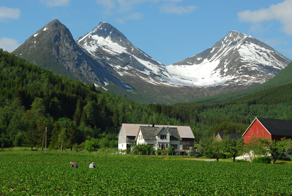 Farmland and mountains along route 63 outside Valldal