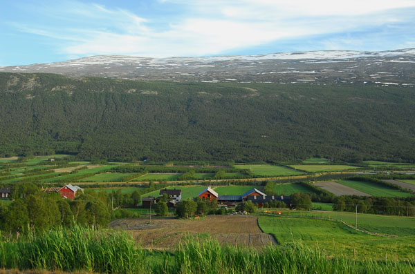 Cultivated valley below route E136, Oppland