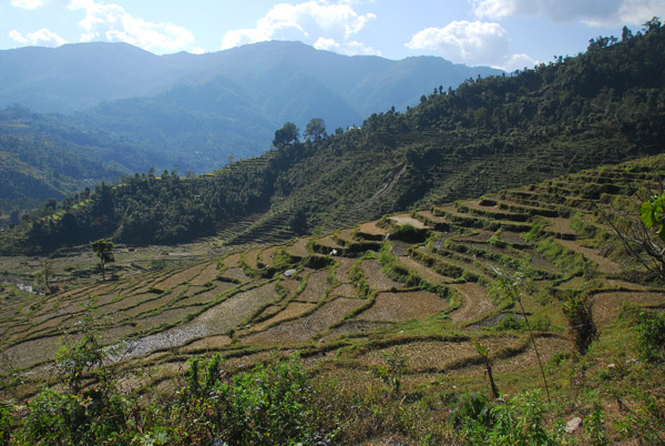 Terraced fields SW of Pokhara