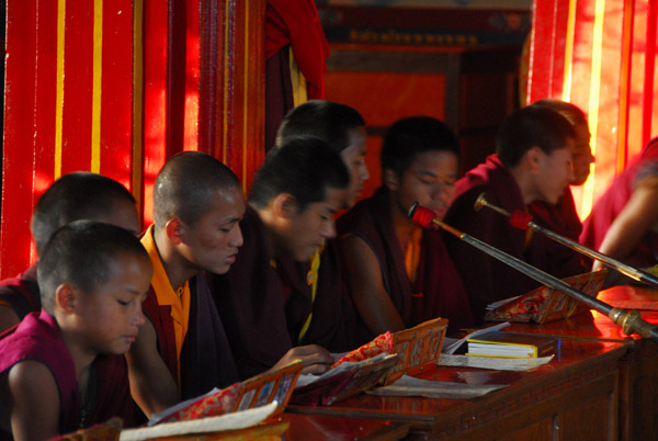 Young monks, Karma Dubgyu Chokhorling Monastery, Pokhara