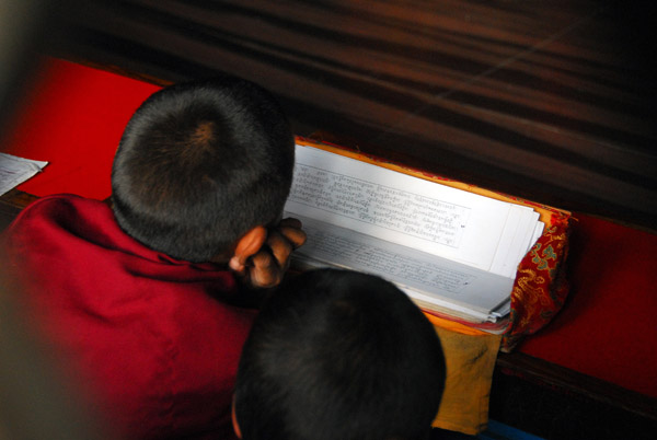 Young monk leaning over a Tibetan text