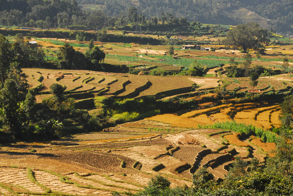 Terraced fields as the Prithvi Highway begins its long descent from Kathmandu