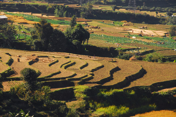 Terraced fields, Nepal