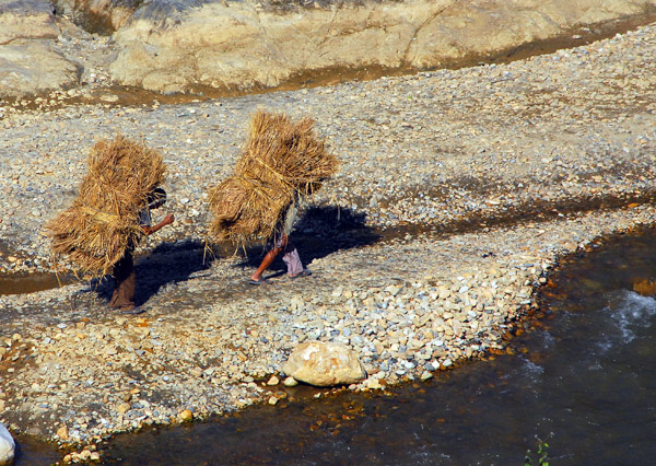 Nepali women carrying loads on their backs